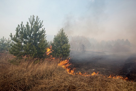Чрезвычайная пожароопасность прогнозируется на Ставрополье