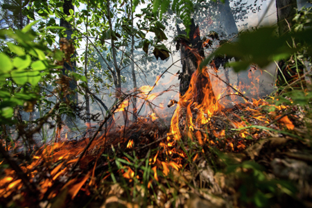 В Якутии отменен режим ЧС, введенный из-за лесных пожаров