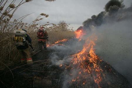 Чрезвычайная пожароопасность сохраняется в Кабардино-Балкарии