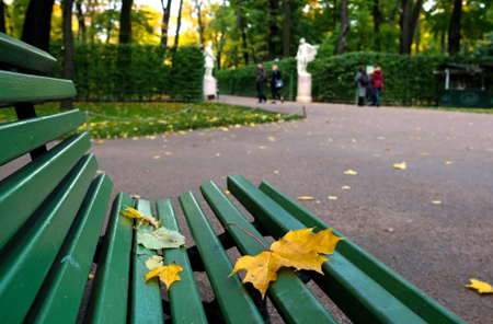 Петербургские сады и парки открылись после непогоды