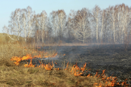 Ликвидирован крупный степной пожар в Оренбургской области