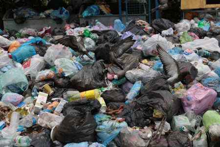 Режим повышенной опасности объявлен в Челябинске из-за перебоев с вывозом мусора