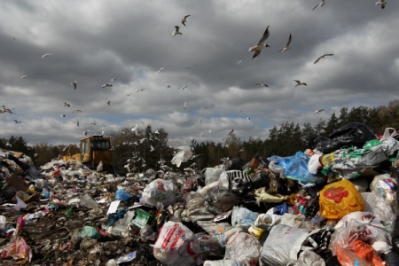 Челябинские власти возлагают ответственность за мусорный коллапс на разорвавших договоры перевозчиков