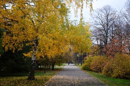 Октябрь в Петербурге и Ленобласти будет теплее нормы, с заморозками в конце месяца