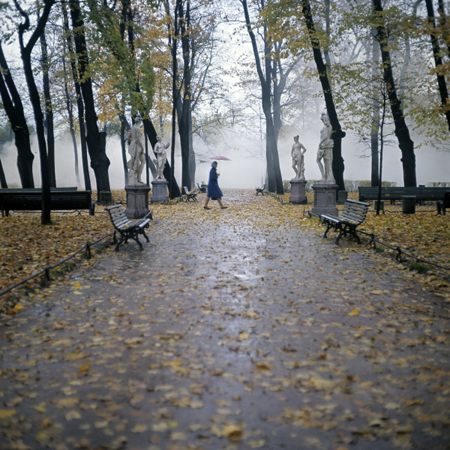Постепенное похолодание и дожди ждут Петербург и Ленобласть на неделе