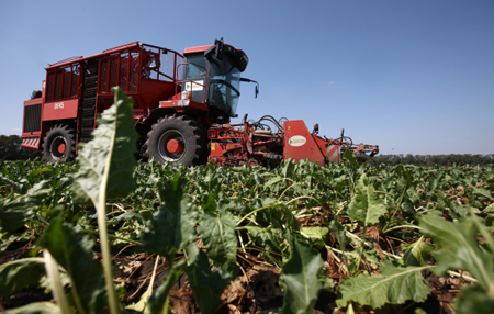 Башкирия планирует создать 200 сельхозкооперативов в 2020 году - власти