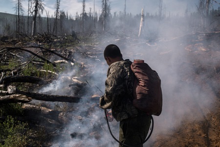 Природные пожары в Ростовской области локализованы