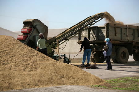 Россельхознадзор предупредил о рисках приостановки погрузки зерна на юге России