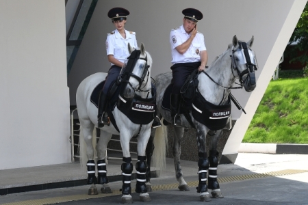 Следователи заинтересовались содержанием полицейских лошадей в Саратове, где за месяц от истощения погибли два животных