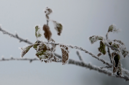 Сильный снег, гололедица и туман ожидаются в Волгоградской области