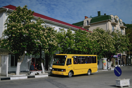 Проезд в троллейбусах Симферополя и Ялты подорожает на 7% с июля 2019 года