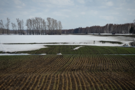 Россельхознадзор проверит пашни экспортеров зерна под Москвой и Тулой