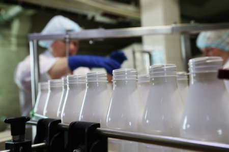 Молочная продукция занимает первое место по фальсификации в Свердловской области