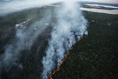 Первый лесной пожар зафиксирован в Хабаровском крае