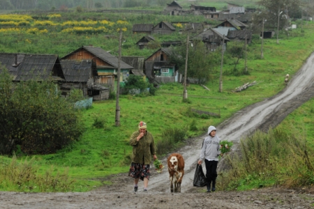 Новосибирская область удвоит число бригад для помощи жителям удаленных сел