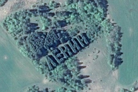 Геоглиф "Ленин" в Вологодской области включили в перечень выявленных объектов культурного наследия