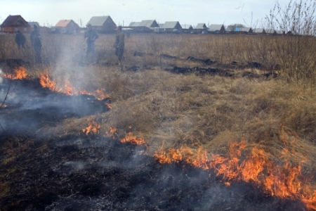 Более 1,3 млн кв. м сухой травы сгорело в Башкирии за пять дней
