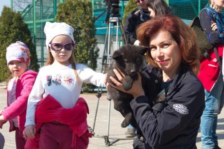 Шестерых волчат из самарского зоопарка назвали в честь российских космодромов