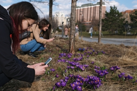 Гидрометцентр: в Москве наступила настоящая весна
