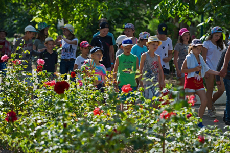 Более 90 тыс. детей отдохнут в лагерях Ленобласти в летнем сезоне