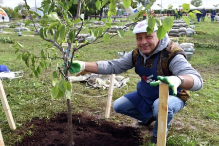 Более 50 тыс. деревьев высадят в Подмосковье в рамках акции "Лес Победы"
