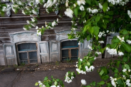 Яблони и груши на юге России пострадали от заморозков