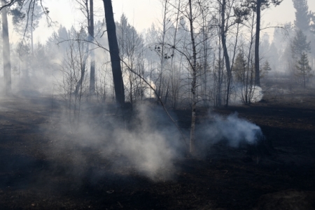 Лесной пожар затруднил движение по федеральной трассе "Сибирь" в Иркутской области