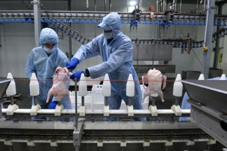 Волгоградский "Мегамикс" намерен обанкротить некогда крупнейшего в РФ производителя мяса утки