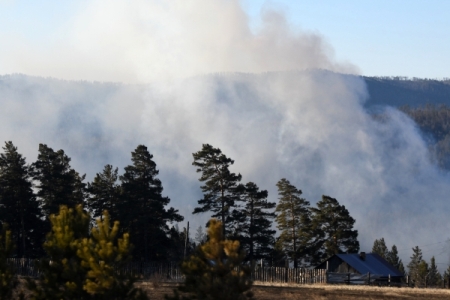 Режим ЧС снят в двух районах Курганской области, где бушевали лесные пожары