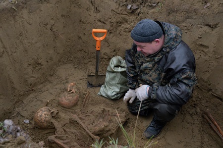 Поисковики обнаружили в Новгородской области крупное захоронение времен войны