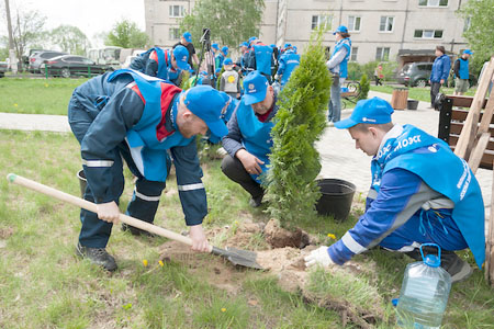МОЭСК провела компенсационную высадку деревьев и кустарников в подмосковном Жуковском