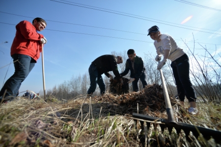 Врио губернатора Сахалина обязал местные власти организовать уборку травы для предотвращения пожаров