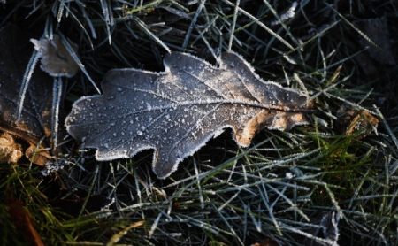 Ночные заморозки и ливни с грозами ожидаются на Урале