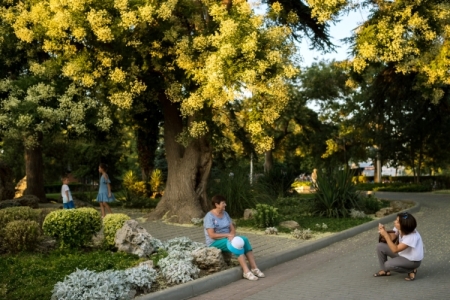 Природный парк со старинной усадьбой благоустроят в Севастополе за два года