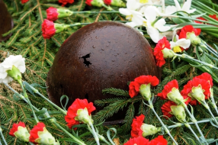 Поисковики нашли останки 26 красноармейцев - участников Ржевской битвы