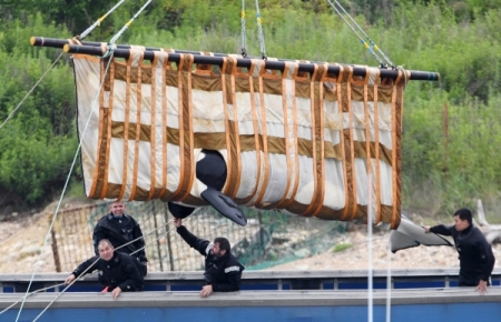 Прибывших в Хабаровск косаток из "китовой тюрьмы" готовят к перегрузке на суда