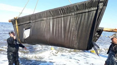 Косаток из "китовой тюрьмы" доставили к последнему пункту перевозки перед выпуском в Охотское море