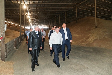 Волгоградская область рассчитывает собрать в 2019г не менее 4 млн т зерна