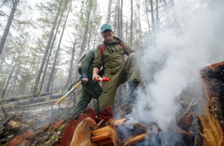 Площадь лесных пожаров в Иркутской области за сутки выросла на треть