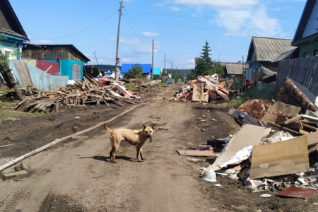 Застройщики предложат проекты домов для пострадавших от паводка под Иркутском
