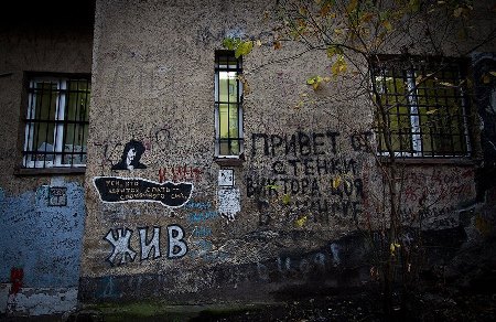 Благоустройство сквера Виктора Цоя в Петербурге планируют завершить в сентябре