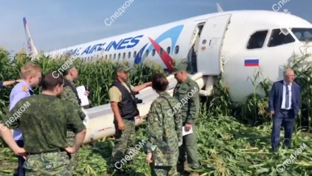 Пассажиры аварийно севшего самолета А321 получат компенсацию в течение 14 дней