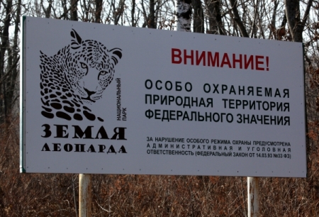 В нацпарке "Земля леопарда" в Приморье усилили меры безопасности в связи с АЧС