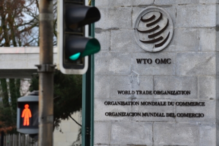 МЭР:РФ консультируется с ЕС о временном соглашении по разрешению споров в ВТО