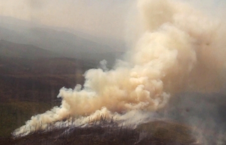 Площадь лесных пожаров в Иркутской области за сутки выросла более чем на 200 га