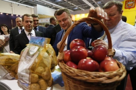 Медведев: для РФ критически важно самостоятельно селекционировать картофель