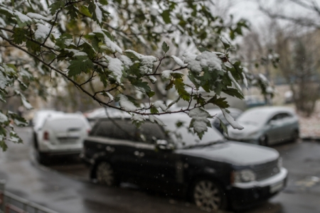 Противопожарный режим отменили в Алтайском крае в связи с первым снегом