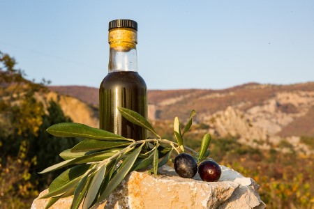 Выращивать оливки и делать из них масло начали крымские ученые