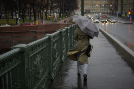 "Желтый" уровень опасности объявлен в Московском регионе 9 ноября из-за усиления ветра