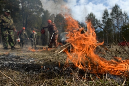 Лес горит на Кубани на площади более 70 га